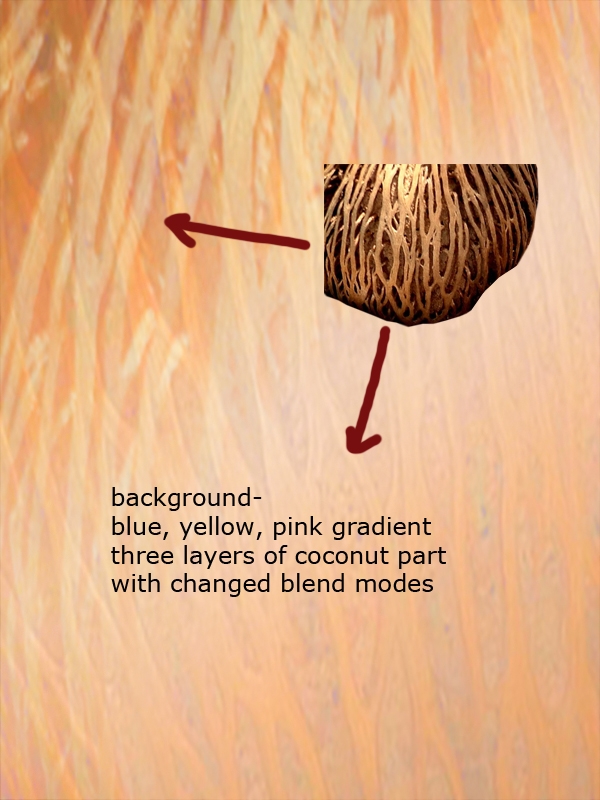 Creation of Profile: Step 1