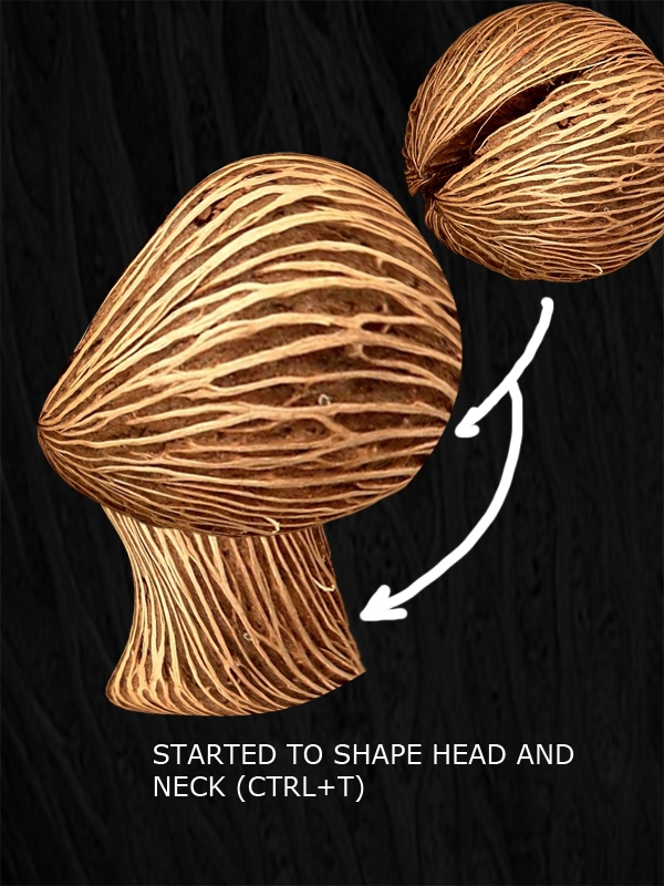 Creation of Profile: Step 2