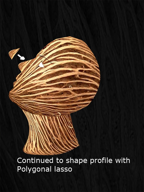 Creation of Profile: Step 3