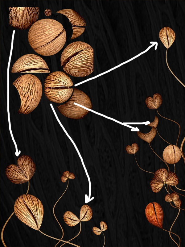 Creation of Profile: Step 10