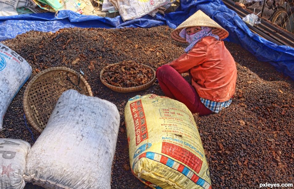 Sorting Coffee Beans