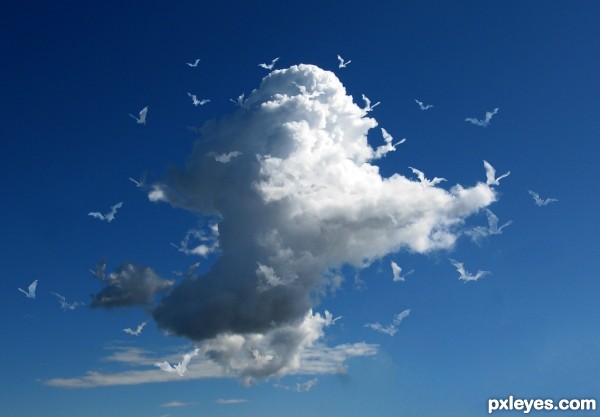 Cloud of bats