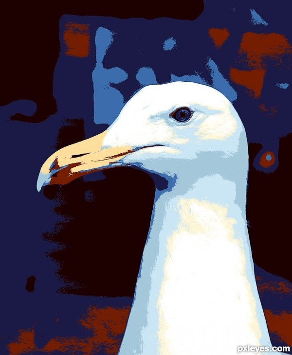 The Painted Gull