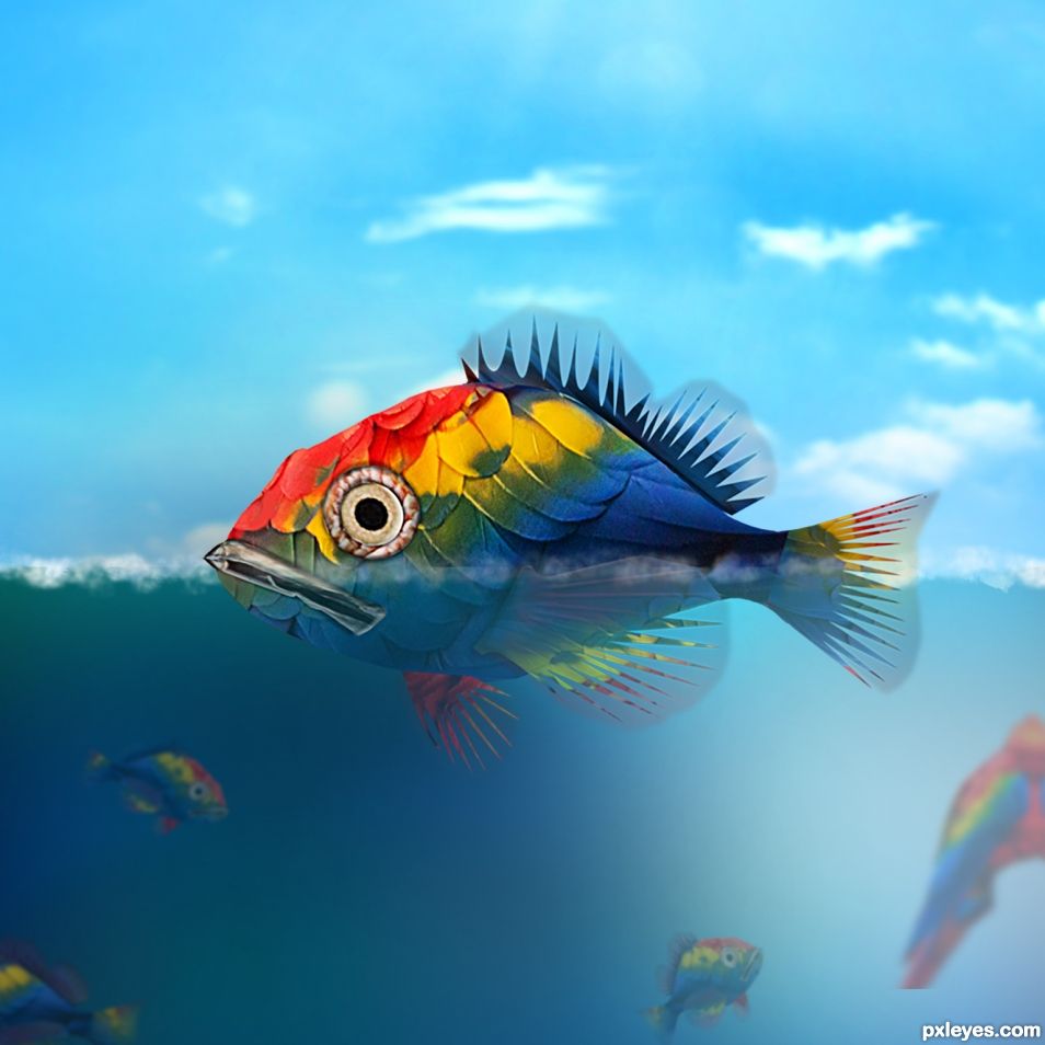 fish parrot