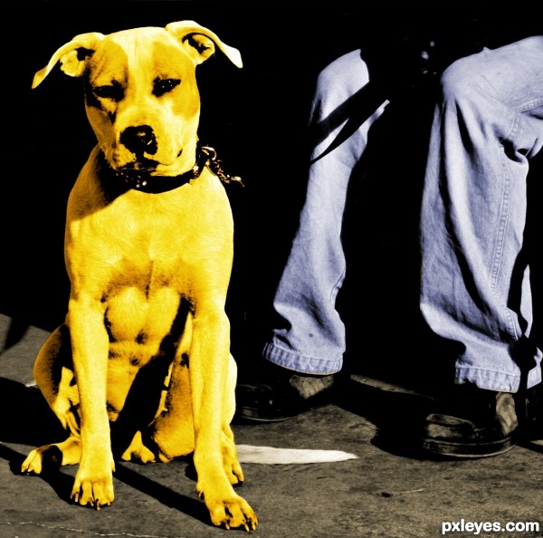 Creation of man's best friend: Step 3