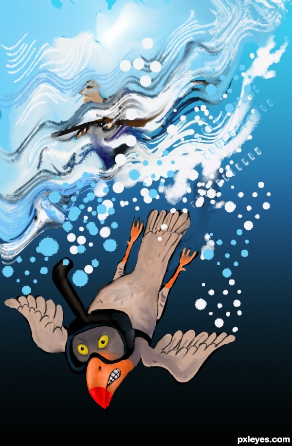 a terrified bird diver