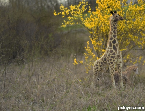 Mothers watchful eye