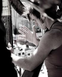 the harpist