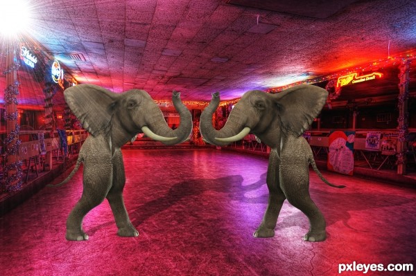 Elephant Dance