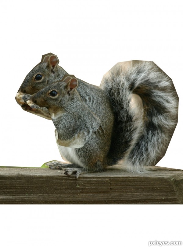 Creation of My Acorns... My Life: Step 1