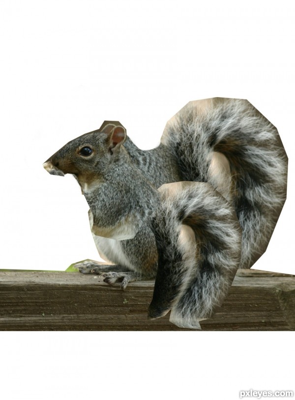 Creation of My Acorns... My Life: Step 2