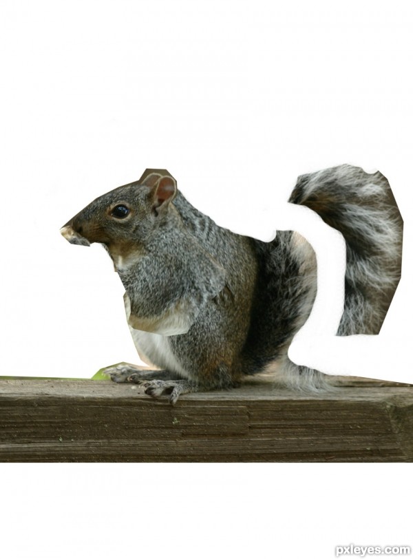 Creation of My Acorns... My Life: Step 3