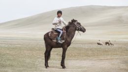 In the Steppes of Central Asia