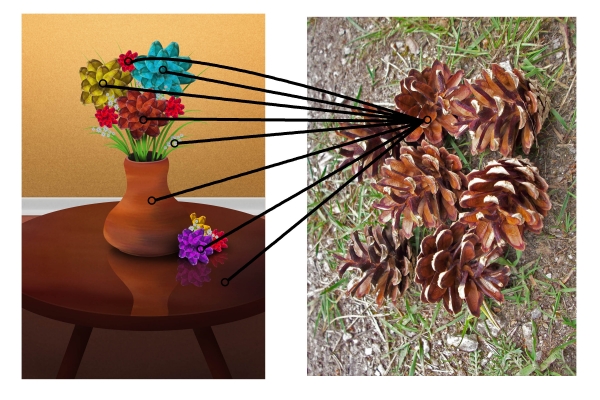 Creation of Flowers: Step 13