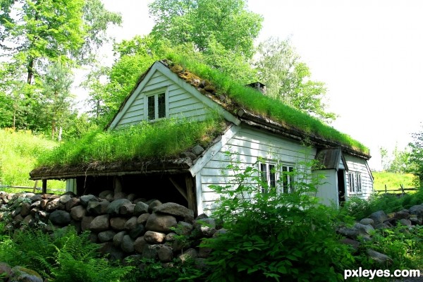 Grass+House