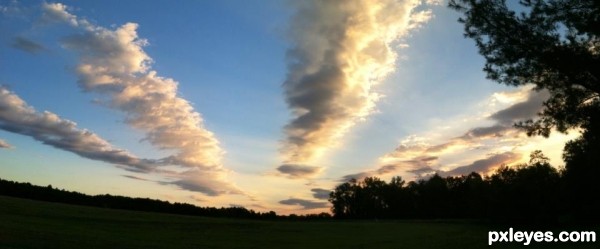 Sky, Trees