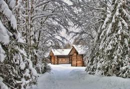 (V&W) Village and Winter Picture