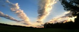 Sky, Trees