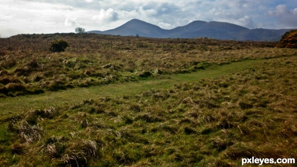 Long and Short Grass