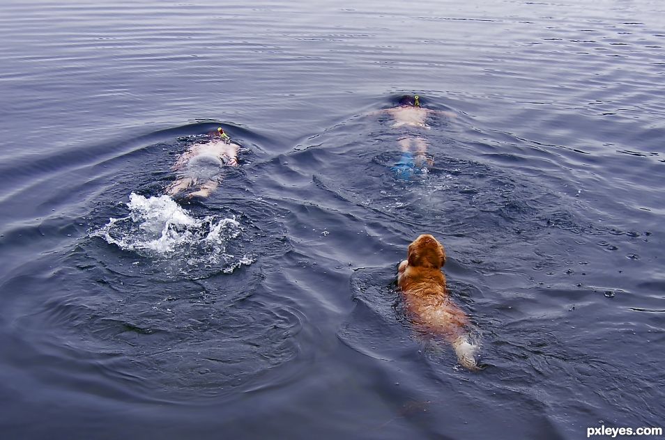 Group Swim