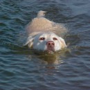 cooling off photography contest