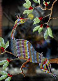 A Colorful Bird