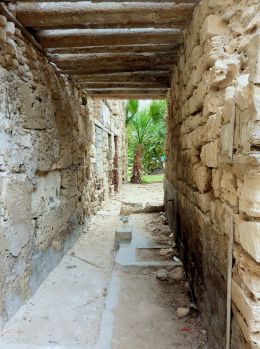 corridor in the ruins