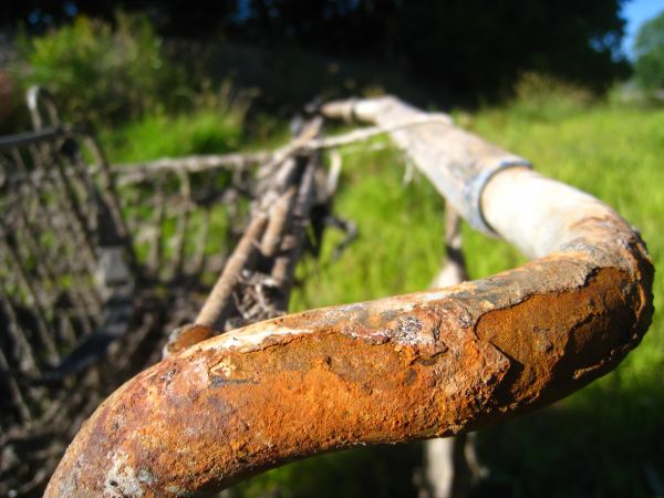 Wilderness Shopping Cart