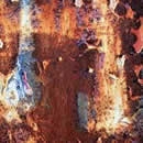 corrosion photography contest