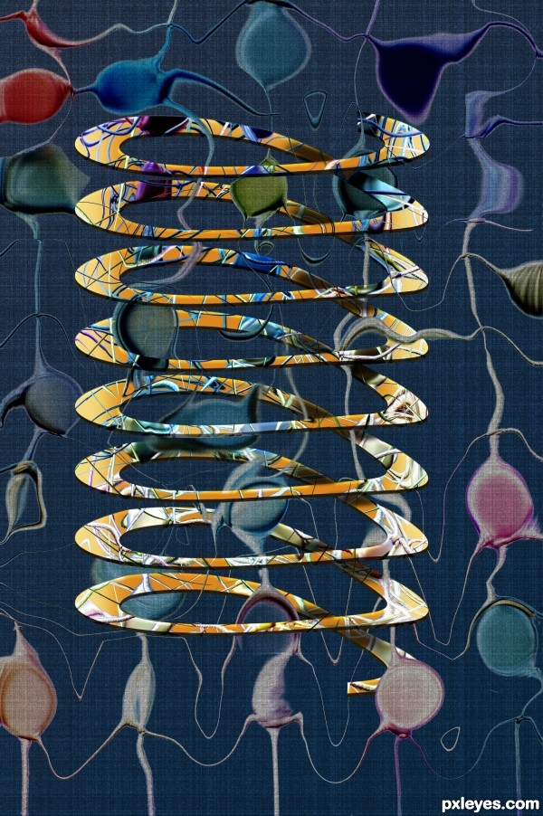 Creation of Dali's Coil: Step 12