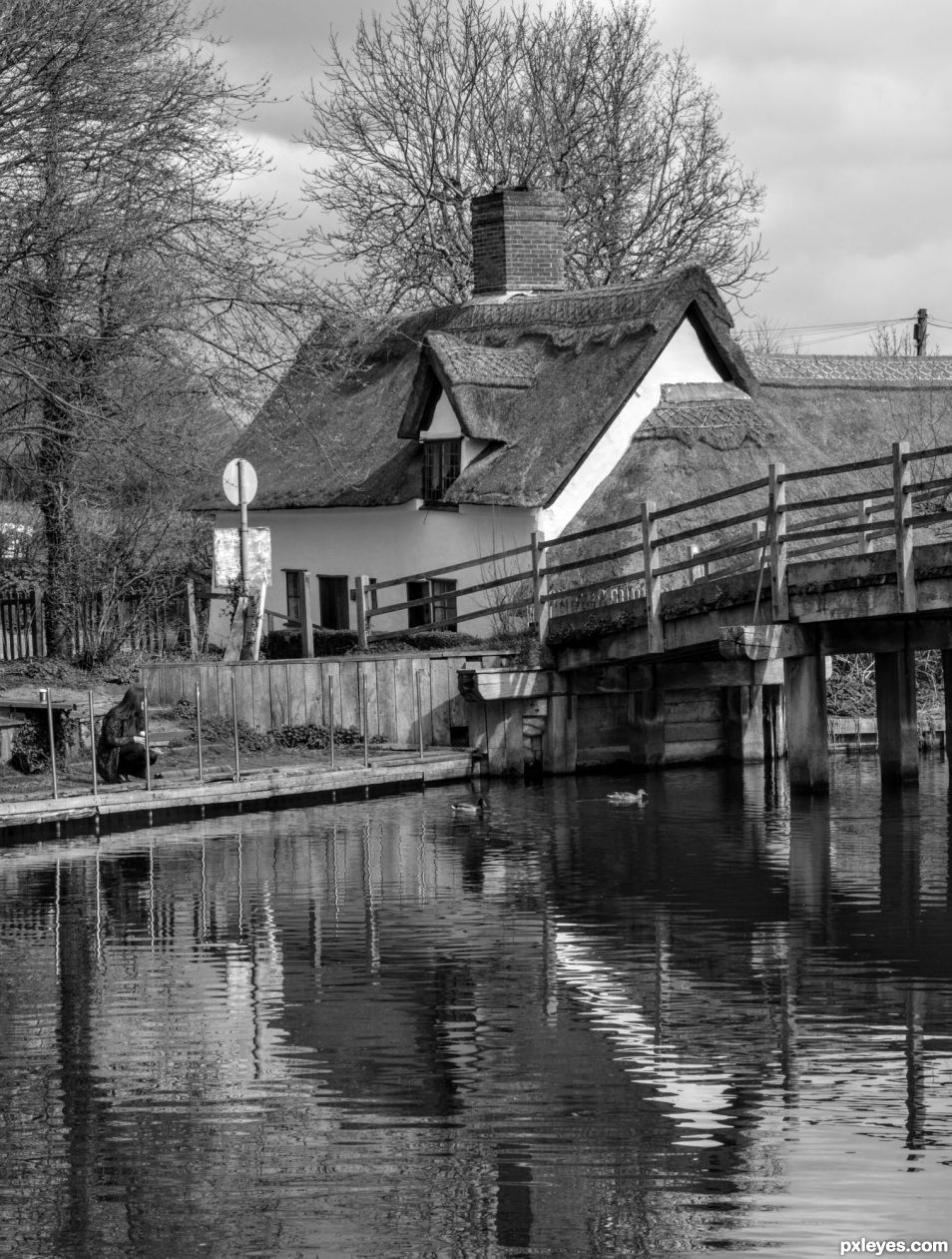 Bridge View