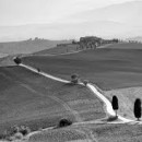 countryside BW photography contest