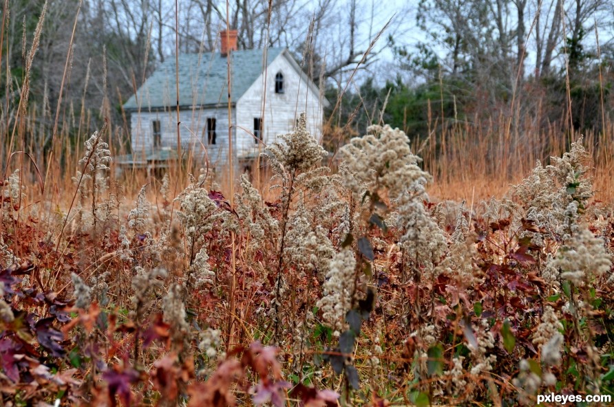 Open Fields and Abandonment