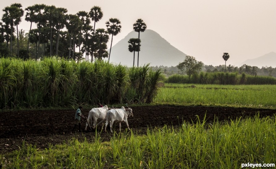 Incredible India!