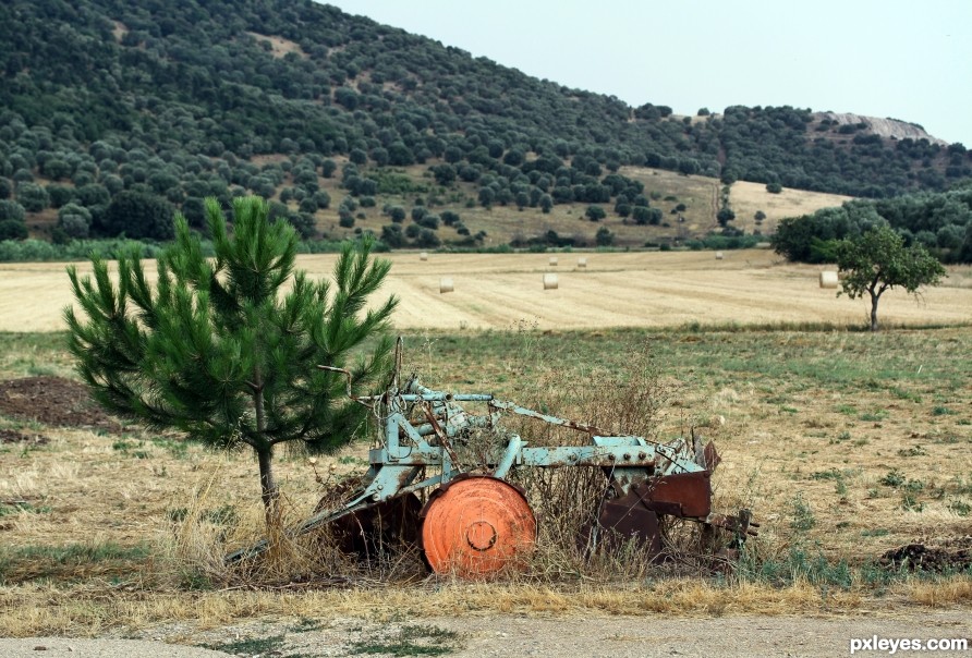 Tuscany