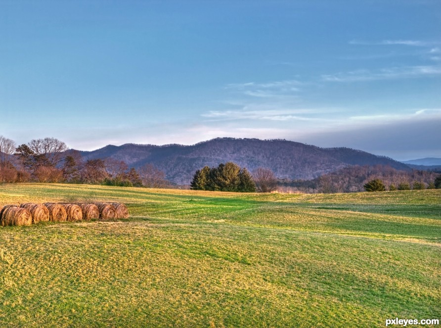 Field and Hills