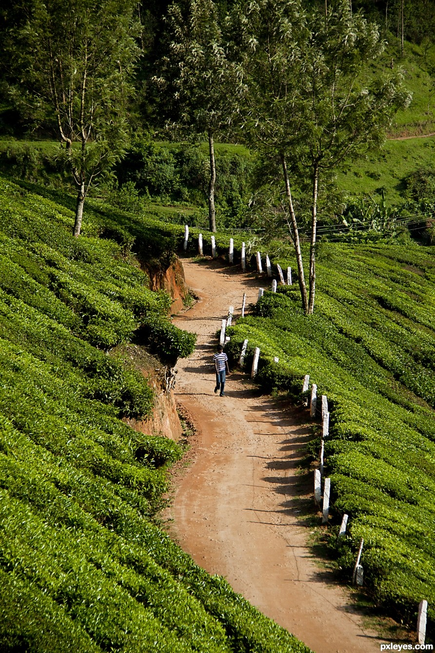 munnar