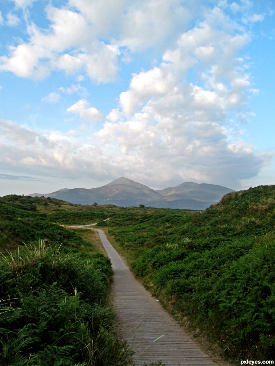 Natures Path