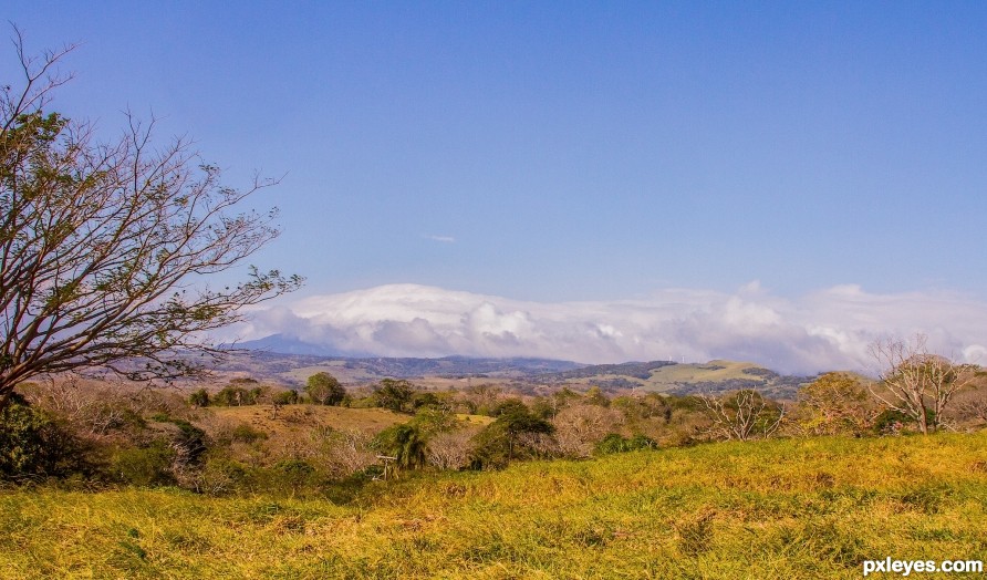 nice view of country side