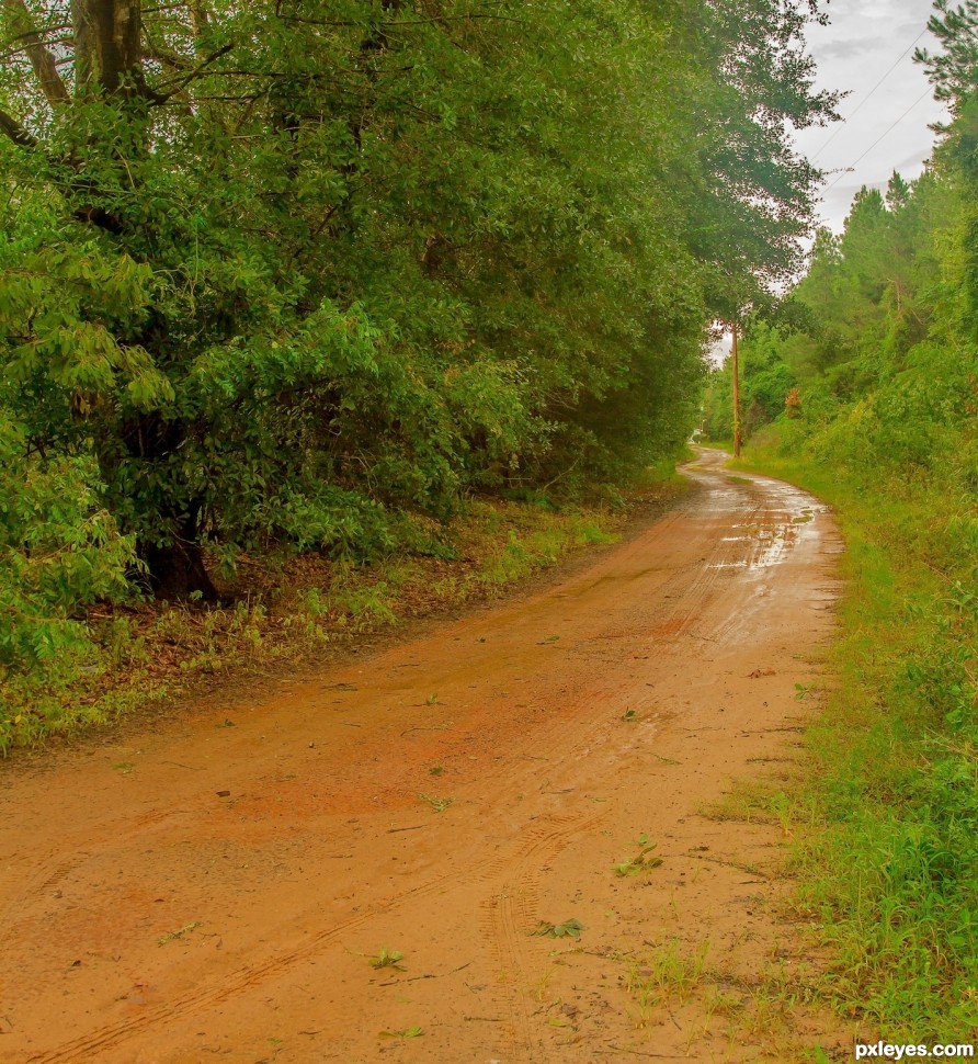 Muddy dirt road in the country side