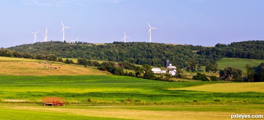 Corn, Dairy, and Wind Farm