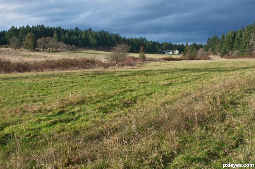 Fallow Fields