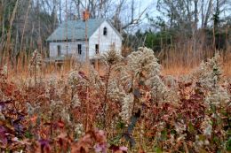 Open Fields and Abandonment