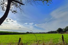 Meadow in lower saxonia, Germany