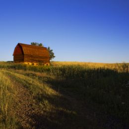 Barn