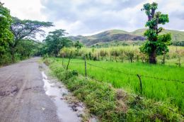 Muddy road