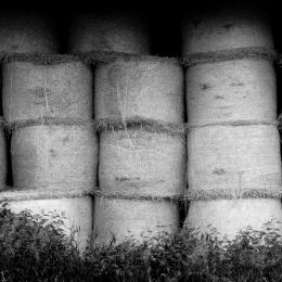 Thehaystacks