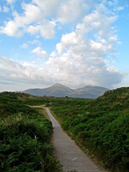 Natures Path