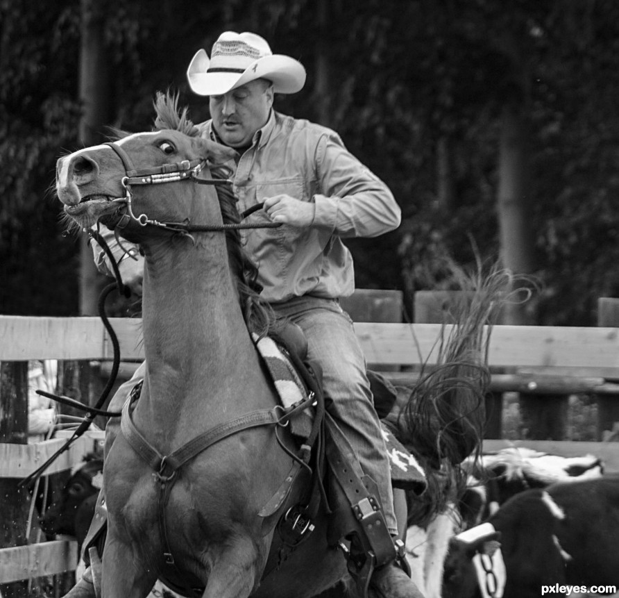 Good Ride Cowboy