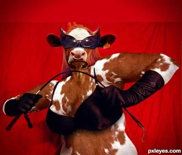 Cow dominatrix - Madam Bovine photoshop picture